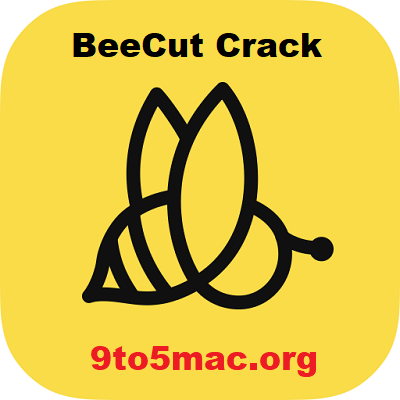 BeeCut 1.8.2.53 Crack + Activation Code 2022 [Latest]